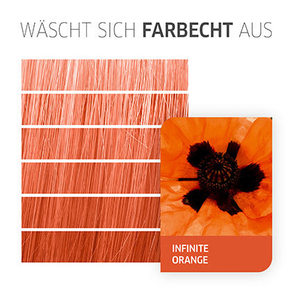 COLOR FRESH CREATE /11 Infinite Orange