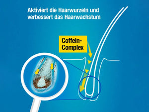 Alpecin Hybrid Sensitiv Coffein-Shampoo 250 ml