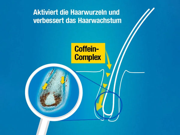 Alpecin Hybrid Sensitiv Coffein-Shampoo 250 ml