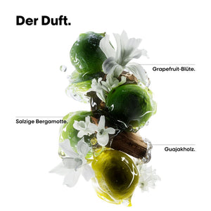 L'Oreal Professionnel Serie Expert Metal Detox Geschenkset Trio - Shampoo 300 ml + Mask 250 ml + Öl 50 ml