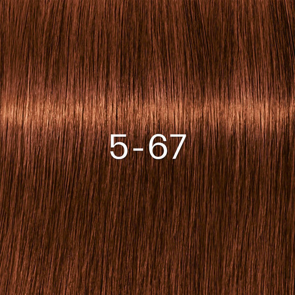 Schwarzkopf Igora Zero Amm Farben 60ml
