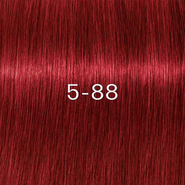 Schwarzkopf Igora Zero Amm Farben 60ml