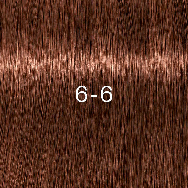 Schwarzkopf Igora Zero Amm Farben 60ml