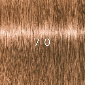 Schwarzkopf Igora Zero Amm Farben 60ml