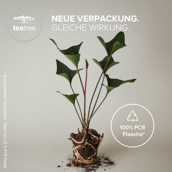 LEMON SAGE Thickening Shampoo