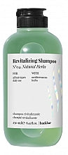 Farmavita Back Bar No4 Revitalisierendes Shampoo Natürliche Kräuter